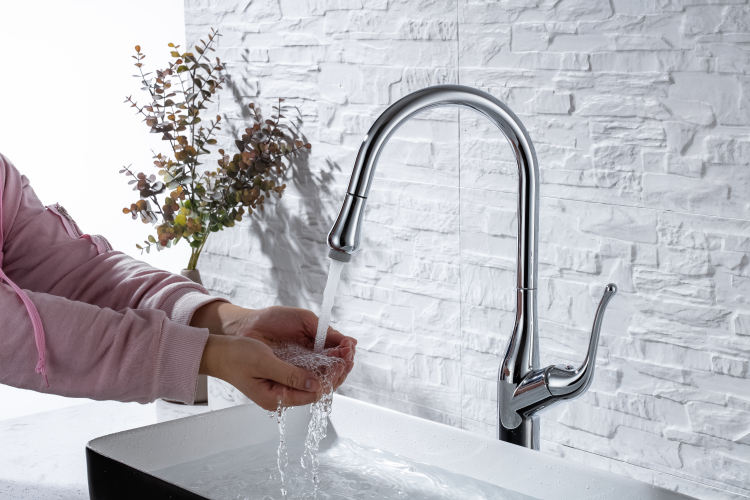 kitchen sink with faucet