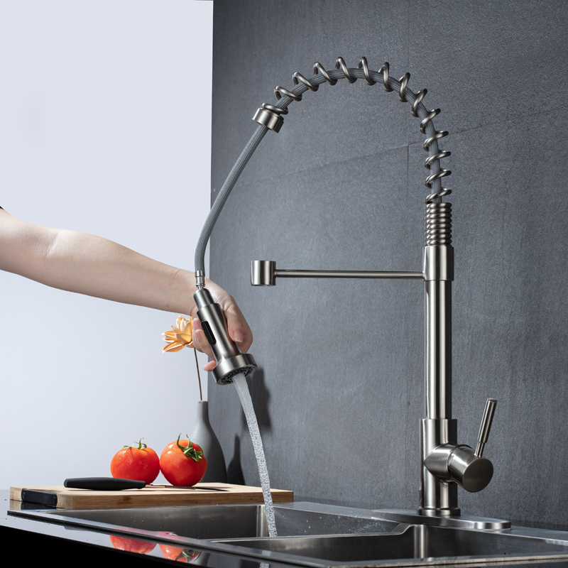 Brushed Nickel Contemporary Luxury Fashion Dual Feature Sink Kitchen Faucet Single Handle