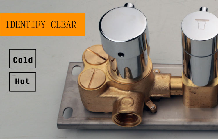 thermostatic valve shower