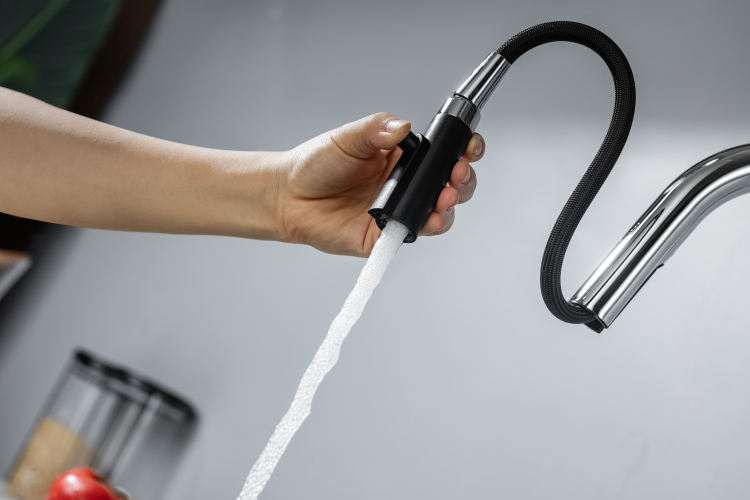kitchen faucet with sprayer
