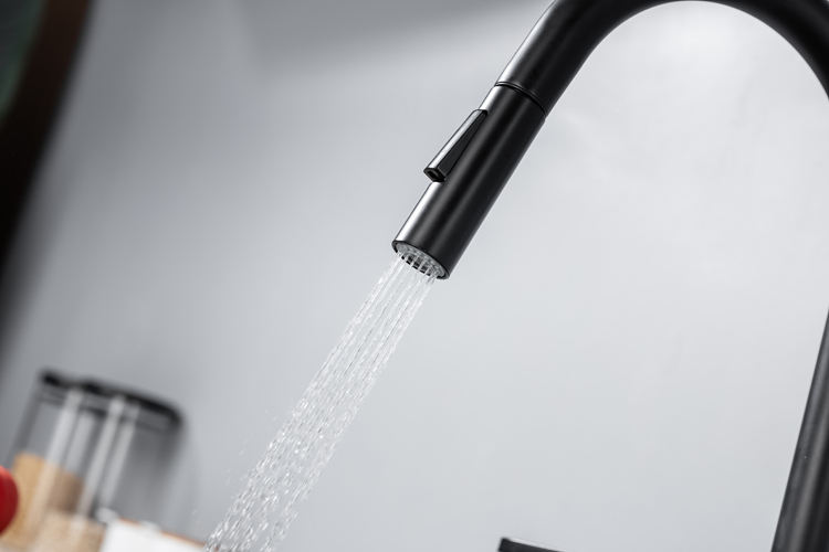 stainless steel kitchen faucets