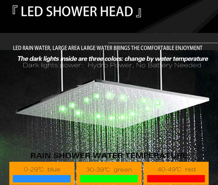 Polished Shower Head 