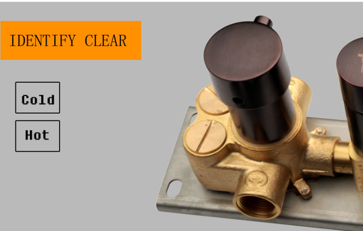 thermostatic shower system