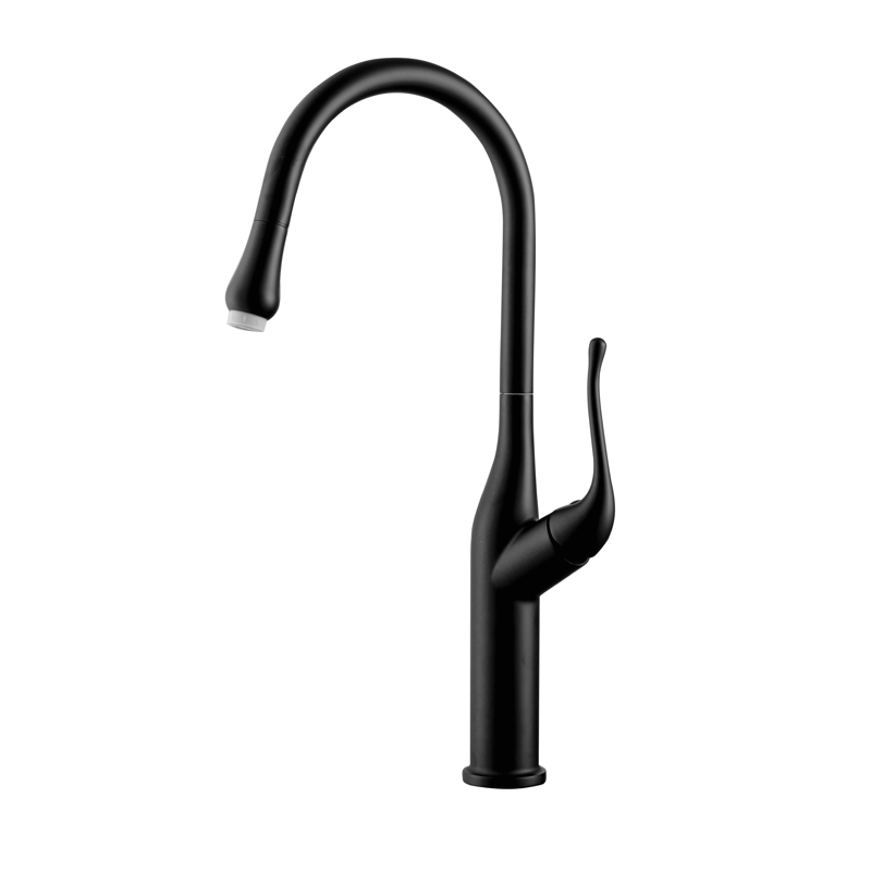 European Style Contemporary Matte Black Bifunctional Sink Kitchen Mixers Pull-Out Type Single Handle