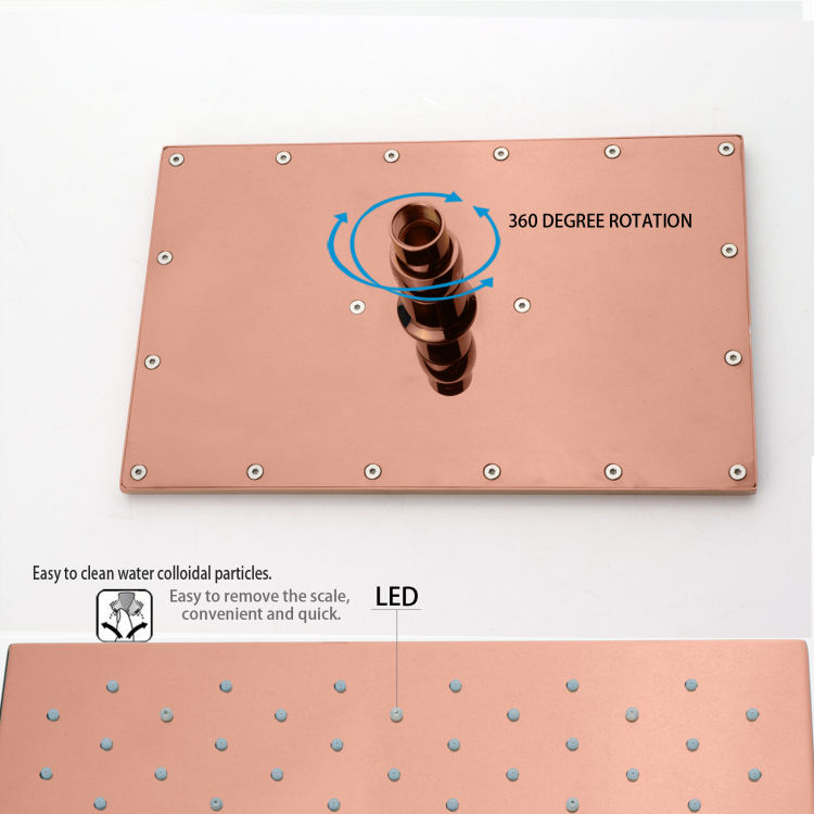 Bathroom Shower Head