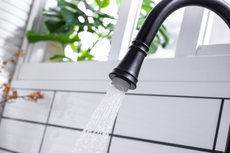 kitchen sink faucets