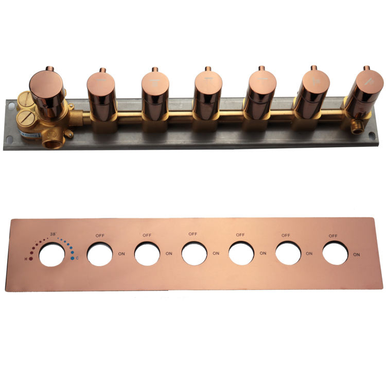 rain shower head system