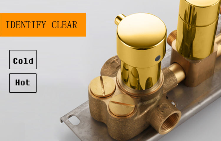 digital shower system