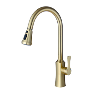 Brushed Gold Contemporary Luxury Sink Bifunctional Kitchen Mixers Single Handle