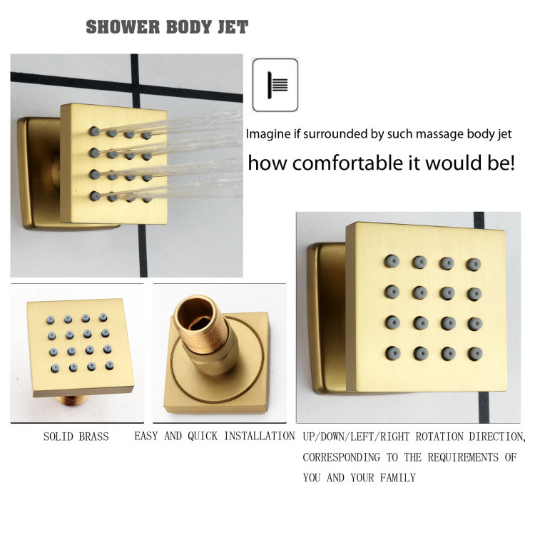 rain shower head system