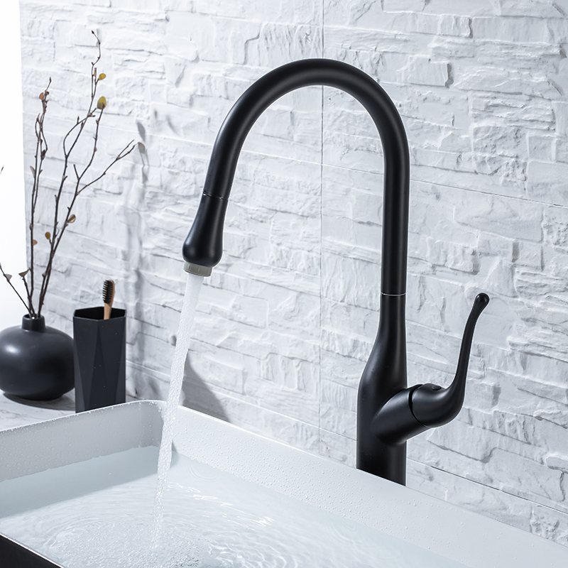 Hot Sales Matte Black Contemporary Luxury Bifunctional Sink Kitchen Faucets Single Handle