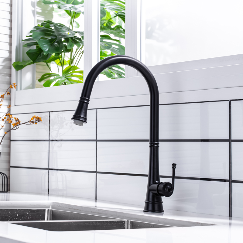 Matte Black New European Style Design Luxury Sink Bifunctional Kitchen Mixer Pull Out Single Handle