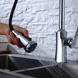 Hot Sales Chrome Polished New European Style Luxury Design Sink Bifunctional Kitchen Mixers Single Handle