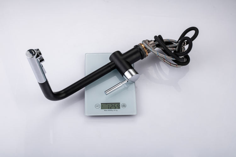 kitchen pull down faucet