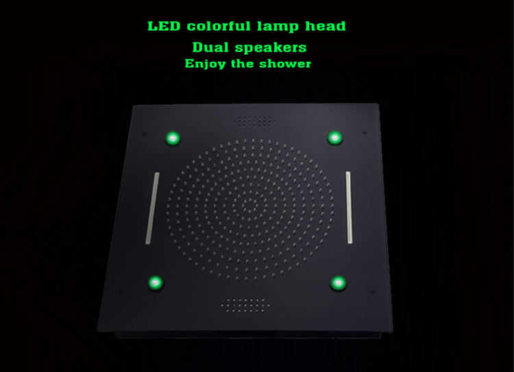 shower system with rain head