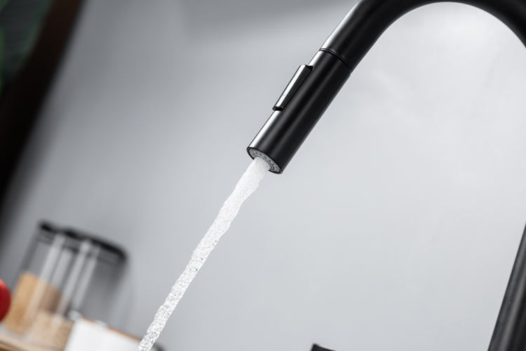 spray kitchen faucet