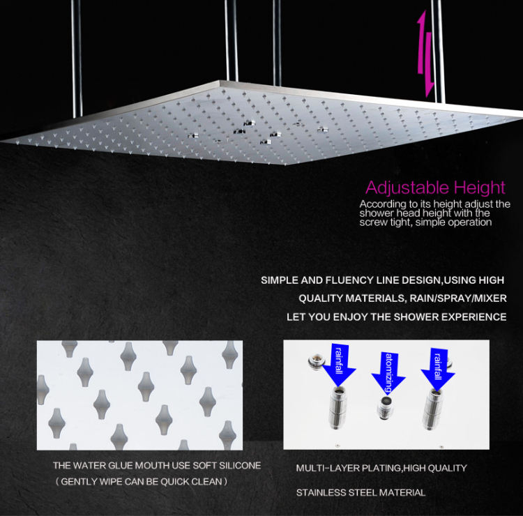 Polished Shower Head