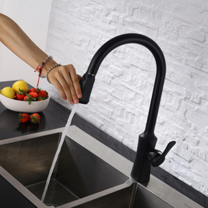 Hot Sales Matte Black Fashion Style Design Sink Basin Kitchen Mixers Bifunctional Single Handle