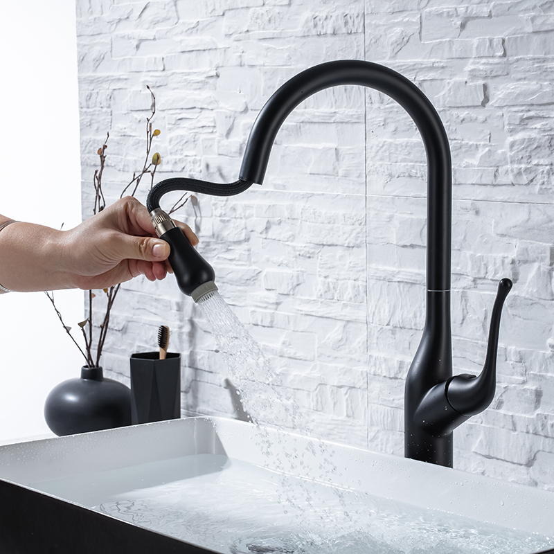 Matte Black European Style Contemporary Luxury Bifunctional Sink Kitchen Taps Pull-Out Type Single Handle