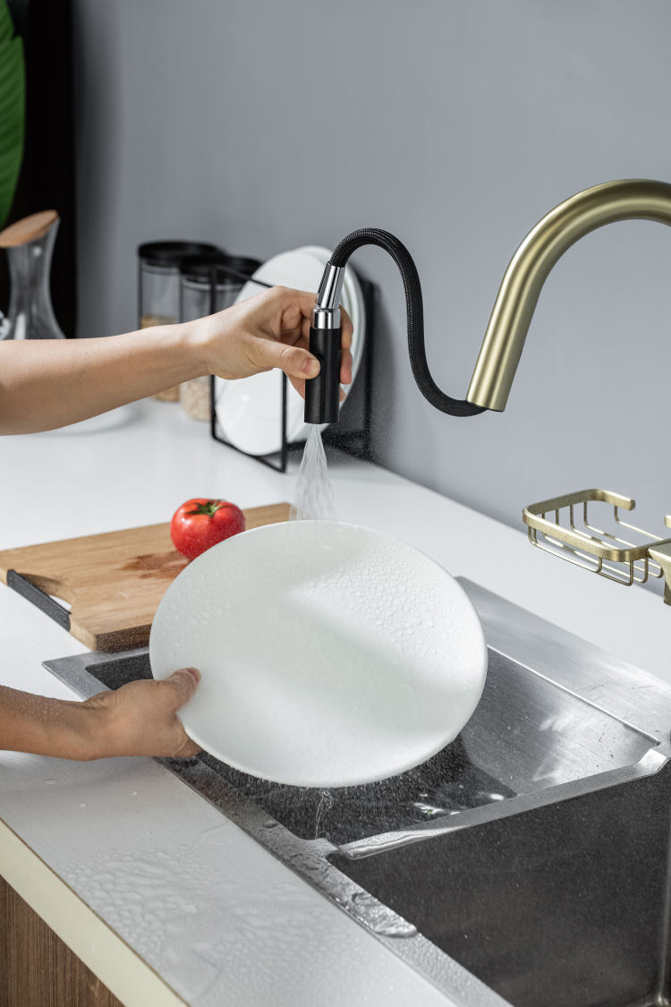 kitchen sink faucet