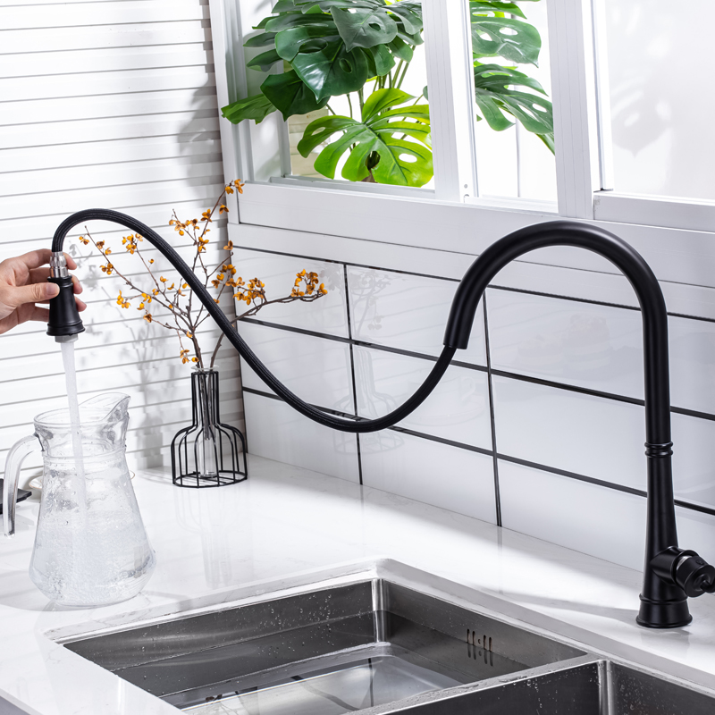 Matte Black New European Style Design Luxury Sink Bifunctional Kitchen Mixer Pull Out Single Handle