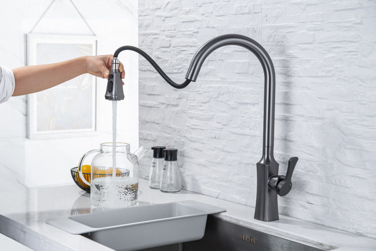 kitchen faucets with sprayer