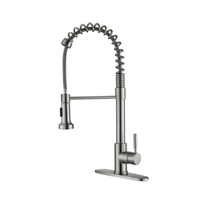 Brushed Nickel Contemporary Luxury Fashion Dual Feature Sink Kitchen Faucet Single Handle