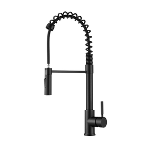 Matte Black Luxury Fashion Bifunctional Sink Contemporary Kitchen Mixers Pull Out Single Handle