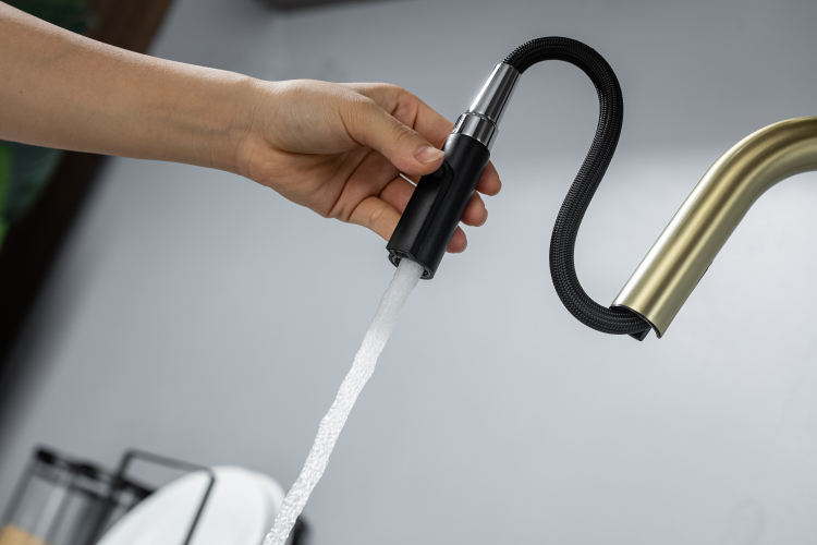 kitchen faucet with sprayer