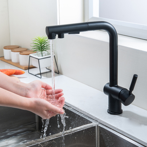 Matte Black Luxury Sink Water-saving Kitchen Faucet Fashion Dual-function Single Handle