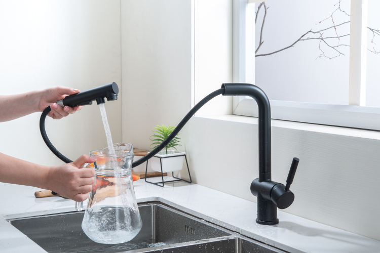 kitchen faucets with sprayer