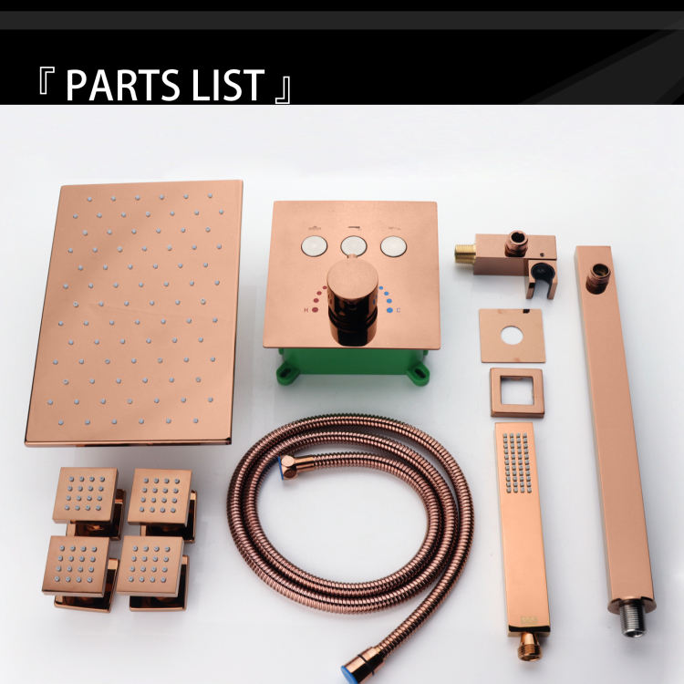 multiple head shower system