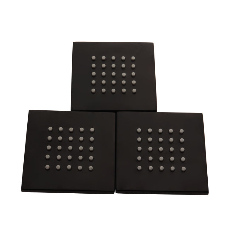 black shower head set