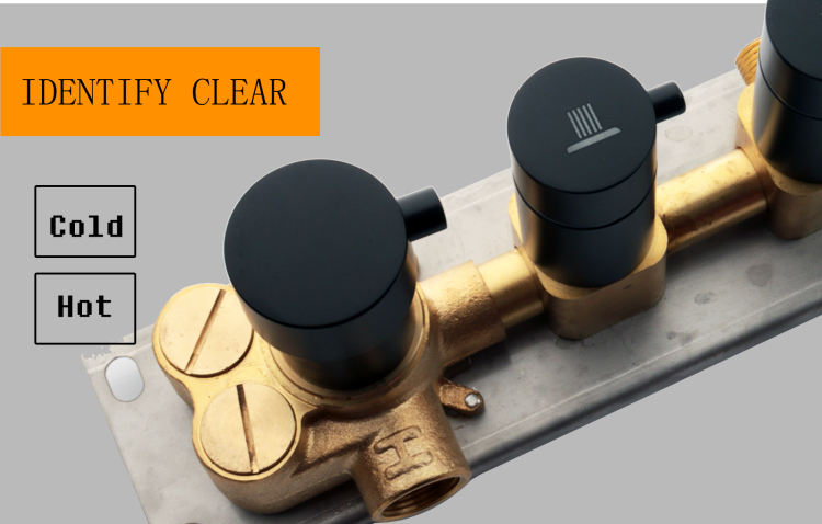 multiple shower head system