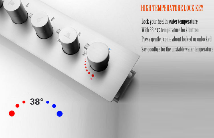 rain shower shower head